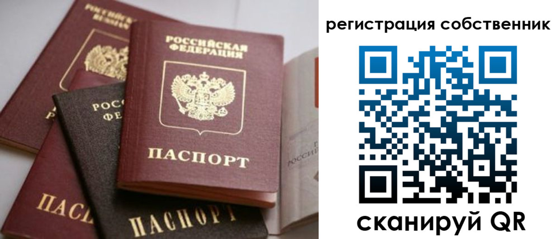 временная регистрация поиск в Бийске